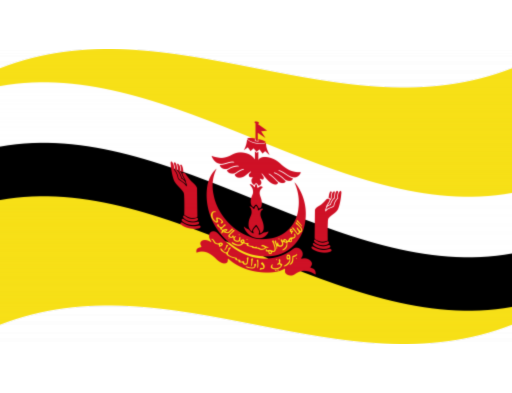 brunei-wavy-resized.png